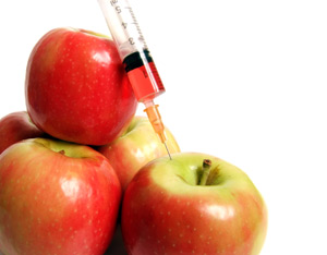 Should Genetically Modified Foods be Labeled? Image